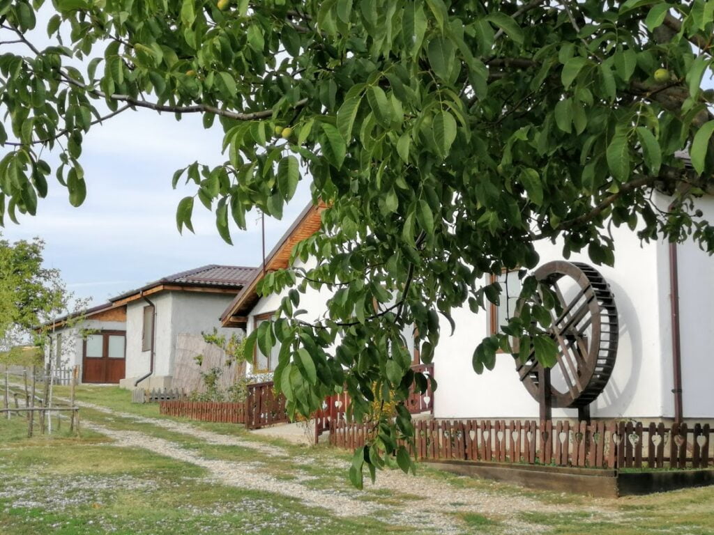 Moara de Hartie, Comana