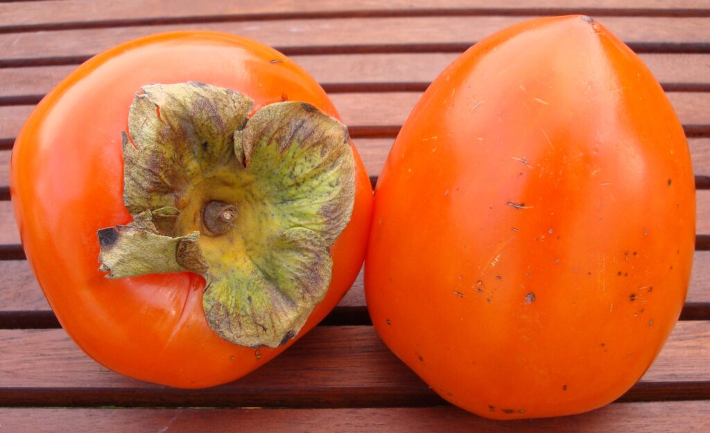 adevarul despre kaki