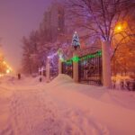 Fără reuniuni în familie de sărbători! Recomandările OMS pentru Crăciun și Revelion