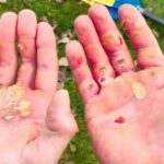 Așa arată palmele unor campioni! Fotografia începutului de an