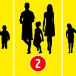 Poți ghici care nu este o familie? Testul psihologic care spune multe despre tine