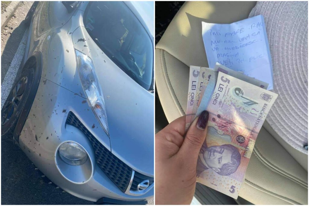 Ce a găsit o șoferiță în parbriz. A rămas fără cuvinte