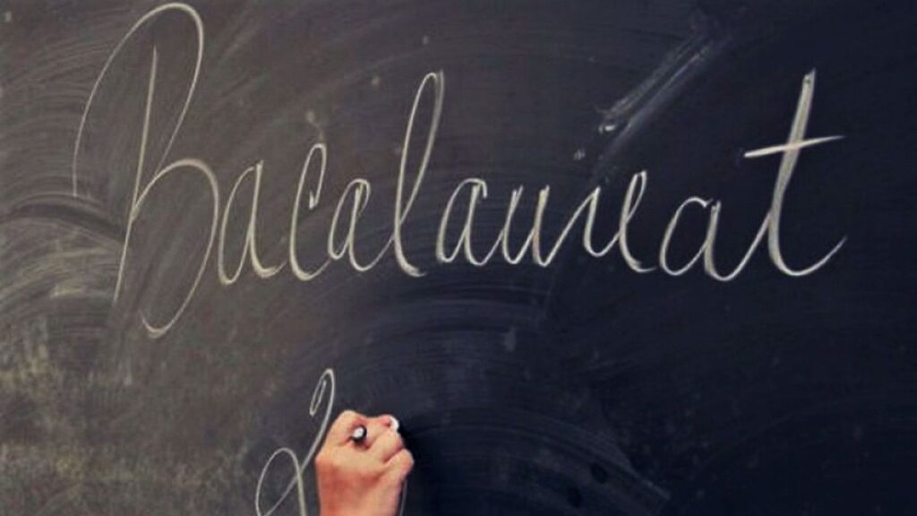 Barem corectare simulare BAC 2021.