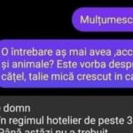 Discuția haioasă dintre proprietarul unui hotel din Brașov și un ieșean care a vrut să-și ia câinele în vacanță