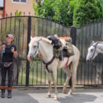 Doi turiști străini plecați călare pe cal la Castelul Bran s-au rătăcit la Craiova. Reacția polițiștilor locali