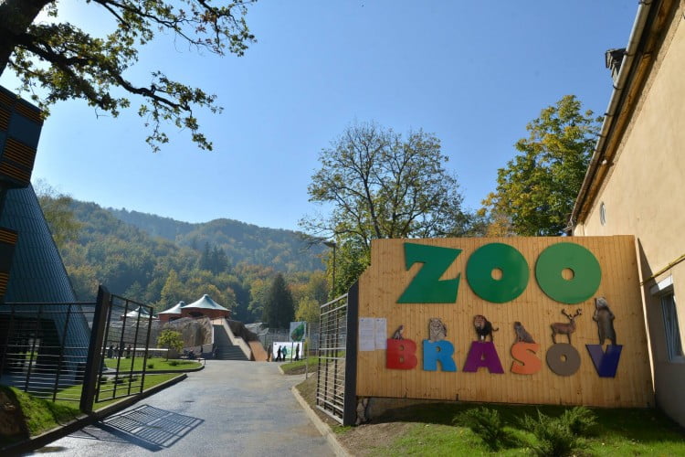Unde se mănâncă bine în Brașov și ce să vizitezi în orașul de la poalele Tâmpei