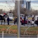 Momentul în care un jandarm cade de pe cal, înaintea paradei de 1 decembrie
