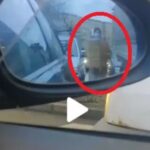 Ce s-a întâmplat când un șofer a claxonat un cerșetor care pretindea că e surdomut