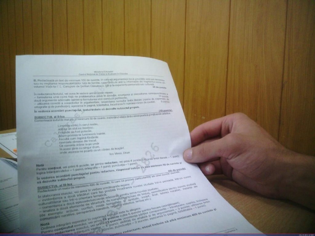 subiecte bac romana 2022