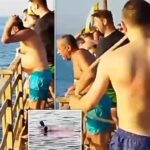 Medic rezident român, martor la tragedia din Egipt, unde o femeie a fost sfâșiată de un rechin