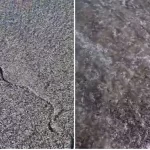 Șerpi pe o plajă din Saturn. Avertisment pentru turiști: "Grijă mare la copii!"