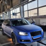 Ce au descoperit inginerii de la RAR în torpedoul unui Audi. Mai rar vezi așa ceva!