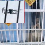 O femeie a trimis o dronă la geamul prietenei ei, fiind îngrijorată că nu i-a mai răspuns 4 ore la mesaje. Ce a văzut pe camera de filmat