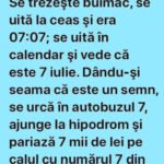 BANC | Bulă visează numărul 7. Se trezește buimac, se uită la ceas și era 07:07; se uită în calendar și vede că este 7 iulie.