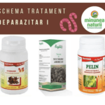 Tinctura de nucă neagră, pelin şi cuişoare - un remediu naturist antiparazitar de care ar trebui să ştii şi tu!