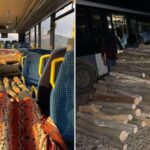 Cum se mai fură lemne prin Maramureș: autobuz plin cu bușteni, oprit în trafic de polițiști