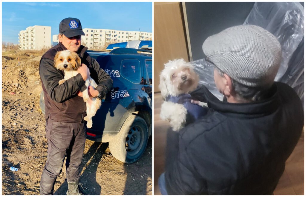 Căţeluşă furată într-o intersecţie din Bucureşti, găsită după doi ani. Poveste emoționantă!