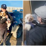 Căţeluşă furată într-o intersecţie din Bucureşti, găsită după doi ani. Poveste emoționantă!