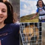 Autopsia Anei dezvăluie detalii şocante: Câinii care au atacat-o i-au sfâşiat artera femurală