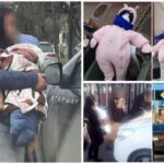 "Îmi trebuie bani pentru lapte" Mai multe femei, prinse la cerșit cu păpuși din cârpe în brațe, pe post de bebeluși, la semaforul de la Grozăvești