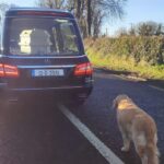 Imaginea durerii: Un câine loial a mers în spatele sicriului stăpânei, pe drumul spre cimitir. Omagiu sfâșietor adus bătrânei