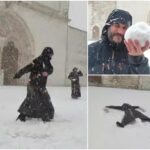 "Dragi frați și surori, a sosit sora zăpadă". Călugări surprinși jucându-se cu bulgări și distrându-se în fața Bazilicii Sfântul Francisc din Assisi, în Italia