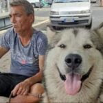 A murit Ionel, românul din Italia care a refuzat să se interneze pentru a nu-și abandona câinele