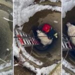 Cățel căzut într-o fântână adâncă de 6 metri, salvat de un pompier inimos din Neamț: "Orice viață contează"