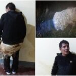 "Păianjenul", un criminal periculos, a încercat să evadeze deghizat în oaie. A fost prins în timp ce se târa ușor spre gardul închisorii, în Bolivia