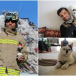 Pisica, scoasă de sub ruine în Turcia, a fost adoptată de salvatorul ei. S-a pus pe umerii lui și n-a mai vrut să plece: "Acum este pe mâini bune"