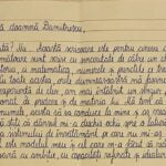 Scrisoarea emoționantă a unui elev din Timișoara pentru profesoara de Istorie: "Am trăit cel mai emoționant moment din cariera mea"