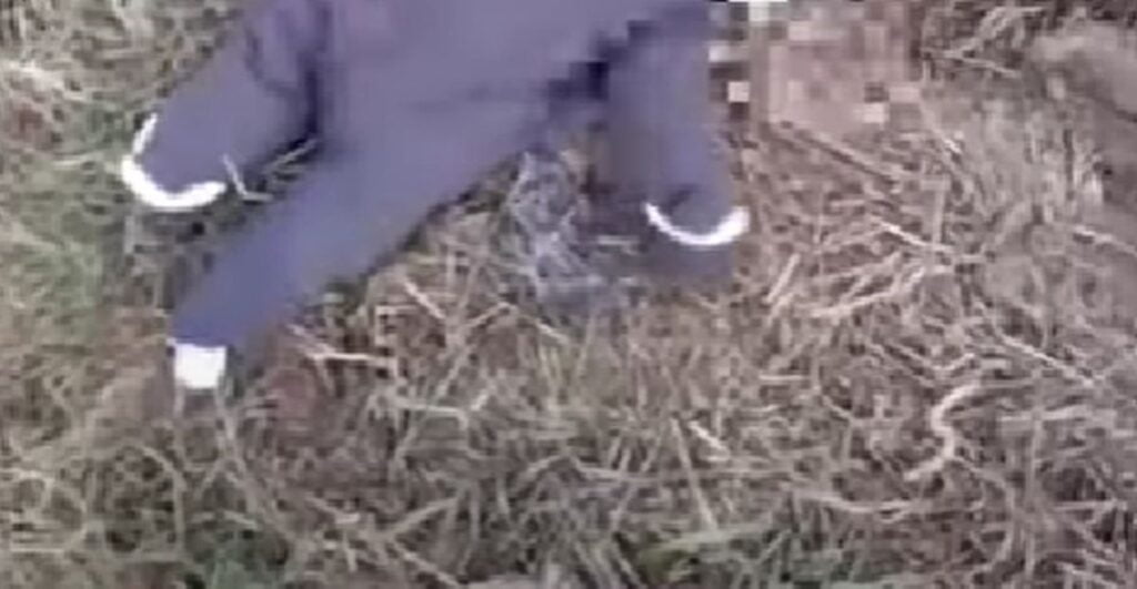 Cutremurător! Fetiță de cinci săptămâni, abandonată de mamă pe un câmp: "Femeia continuă să spună că nu-și dorește copilul"