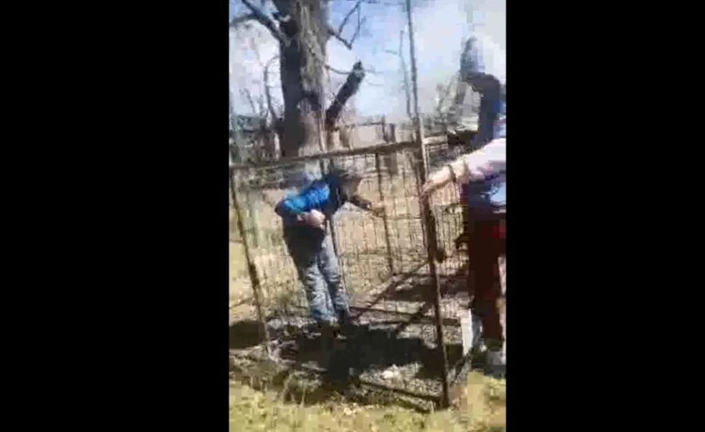 Caz revoltător în Bacău. Copil băgat într-o cuşcă metalică de colegii de clasă