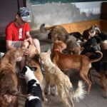 Povestea emoționantă a lui Costi, tânărul crescut la orfelinat care a salvat sute de animale