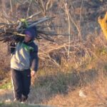 O femeie din Vaslui merge pe jos kilometri întregi pentru un braț de lemne ca să se încălzească