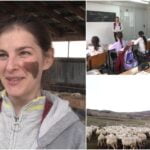 Dimineața învățătoare, după ore ciobăniță. Maria, o tânără din Sibiu, a găsit echilibrul între afacerea de familie și vocația de a fi dascăl
