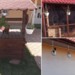 Familie de români revenită în țară după 17 ani de străinătate: „Degeaba ai bani, dacă nu ești acasă nu ești fericit!”