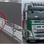 Momentul cu accidentul înfiorător de la Lețcani, în care tatăl și cei doi copii sunt spulberați pe trecerea de pietoni de un TIR | VIDEO