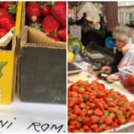 Au apărut primele căpșuni românești în piețe. Prețul ireal cu care se vinde un kilogram