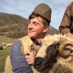 Povestea lui Ionuț, un cioban român întors din Germania: "Nici să nu mai aud de ea, las’ să meargă alții, eu rămân la oi!"