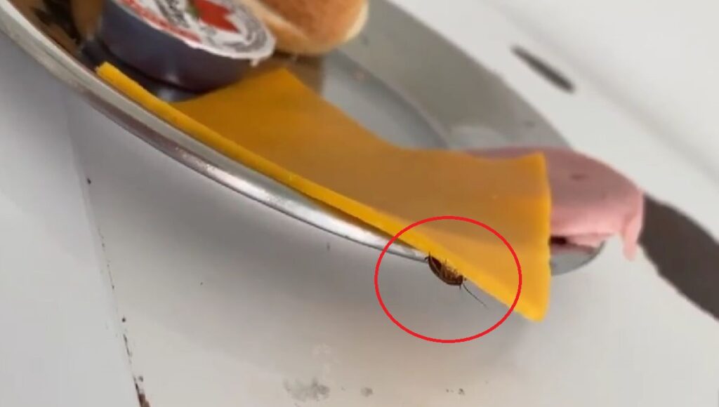 Imagini de groază la Spitalul Județean Constanța. Mic dejun cu gândaci | VIDEO