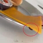 Imagini de groază la Spitalul Județean Constanța. Mic dejun cu gândaci  | VIDEO