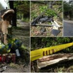 Tânăr român mort în Italia, într-un Audi A3 zdrobit de un copac. Prietenul lui de doar 19 ani, tot român, este în comă