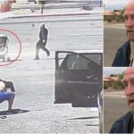 Om al străzii, erou după ce a oprit un cărucior cu un copil, care se îndrepta spre şosea. Videoclipul viral a strâns peste 58 milioane de reacţii