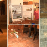 "Putea oricând să intre peste noi, peste copiii mei". Un urs a dat atacul într-o casă de vacanță din Predeal. A făcut dezastru la parter, apoi a urcat la etaj, în dormitoare