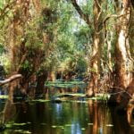 Vacanță în România. 5 locuri fabuloase pe care să le vezi în Delta Dunării