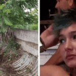 Scheletul descoperit în Italia ar putea fi al unei românce. Era într-un canal de scurgere