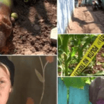 Au băut împreună, apoi s-au luat la omor: Un tânăr de 20 de ani şi-a ucis tatăl, după ce i-a dat cu un par în cap: "Nu-s oameni de scandal, nu au făcut panaramă"