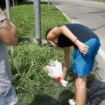 Reacția românului beat și fără permis care a ucis un tânăr în Italia: „Trezește-te, trezește-te! Hai, că poți!”