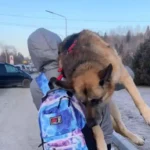 A călătorit 17 kilometri cu câinele său bătrân pe umăr: ”Nu l-am putut abandona”